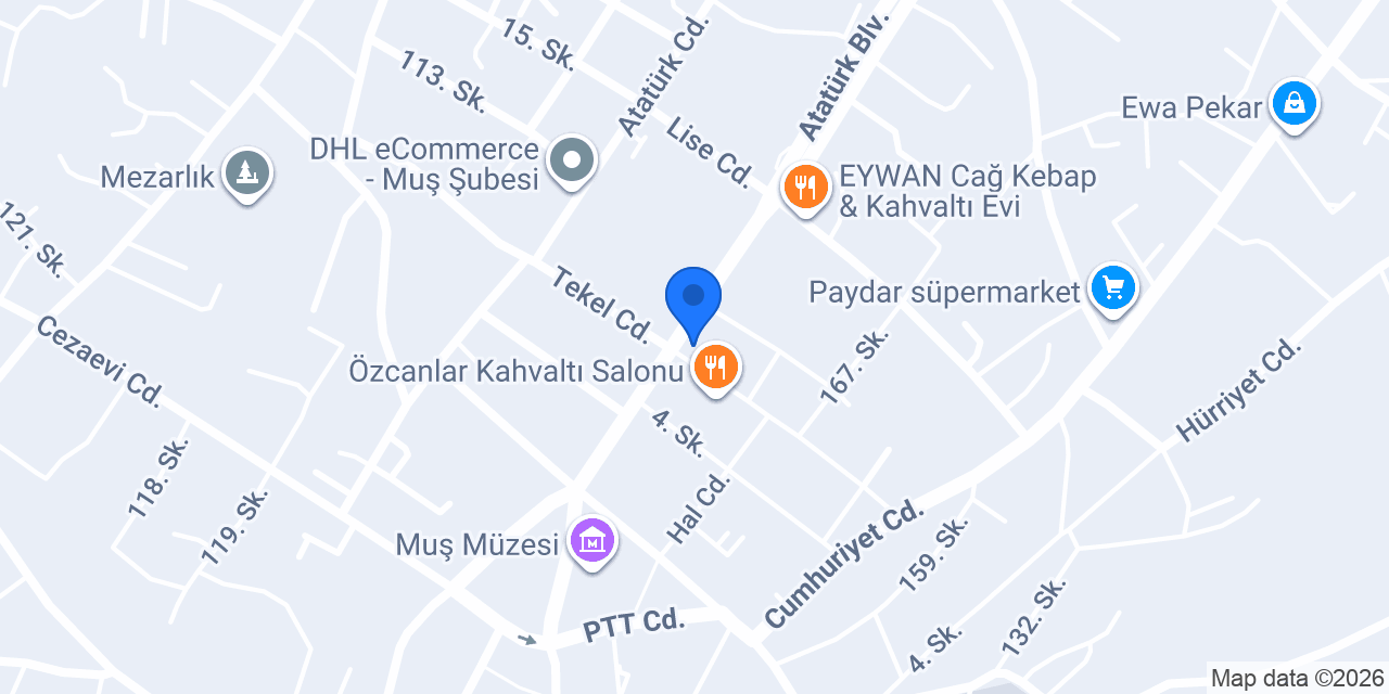 ŞAHANE DÖNER konumu