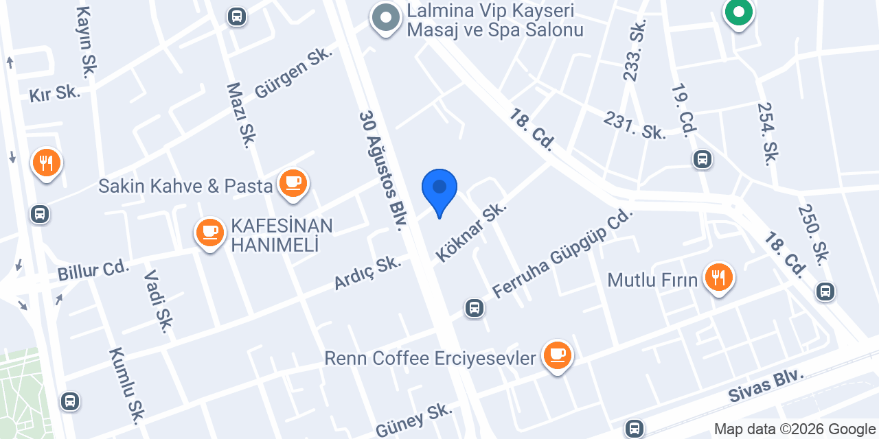 Fiora Vita Çiçek konumu