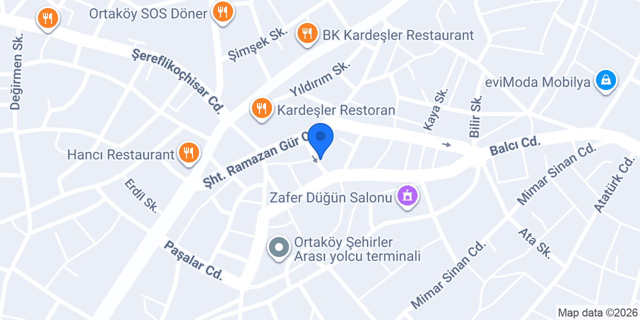 evhayaliniz.com konumu