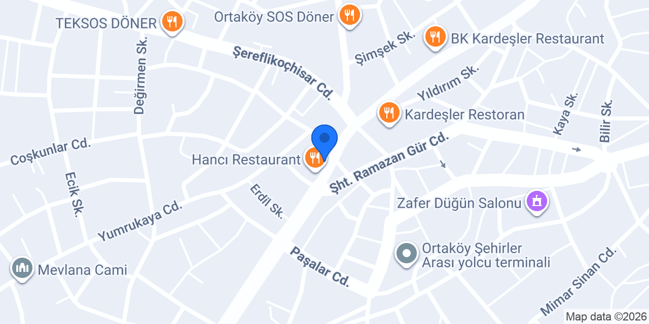 REiS İN YERİ konumu