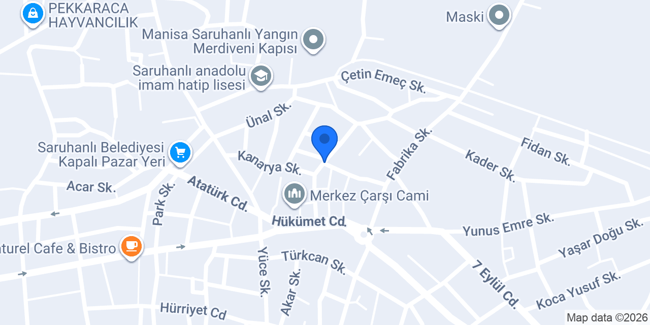 AS 45 ASANSÖR Saruhanlı Şube konumu