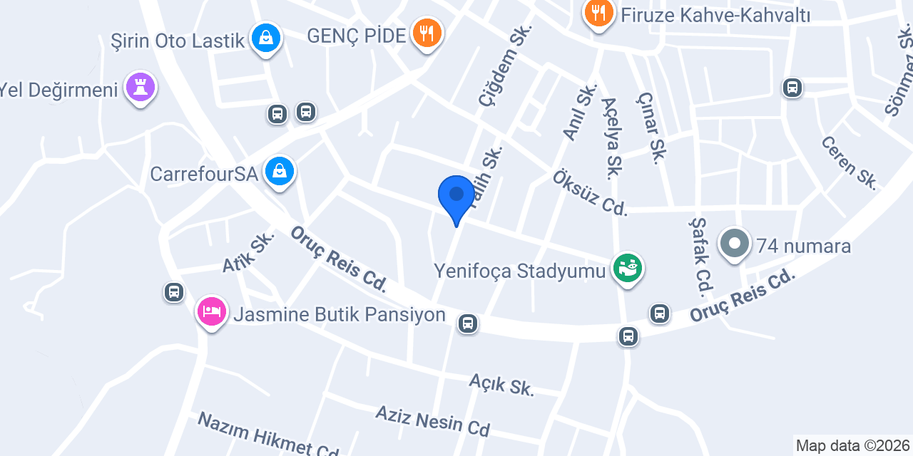 Arzen Yaşam Evleri konumu