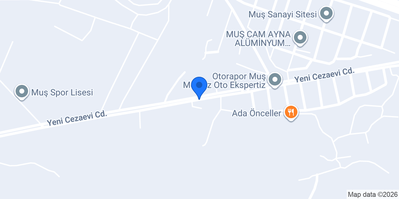 MUŞ ASLANLAR VİNÇ konumu