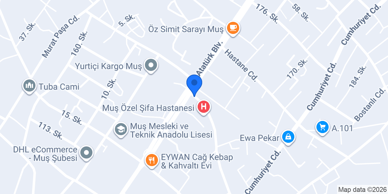 Muş Taşdemir Uluslararası 2. Şube konumu