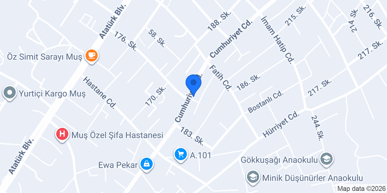 sezgin elektirik konumu