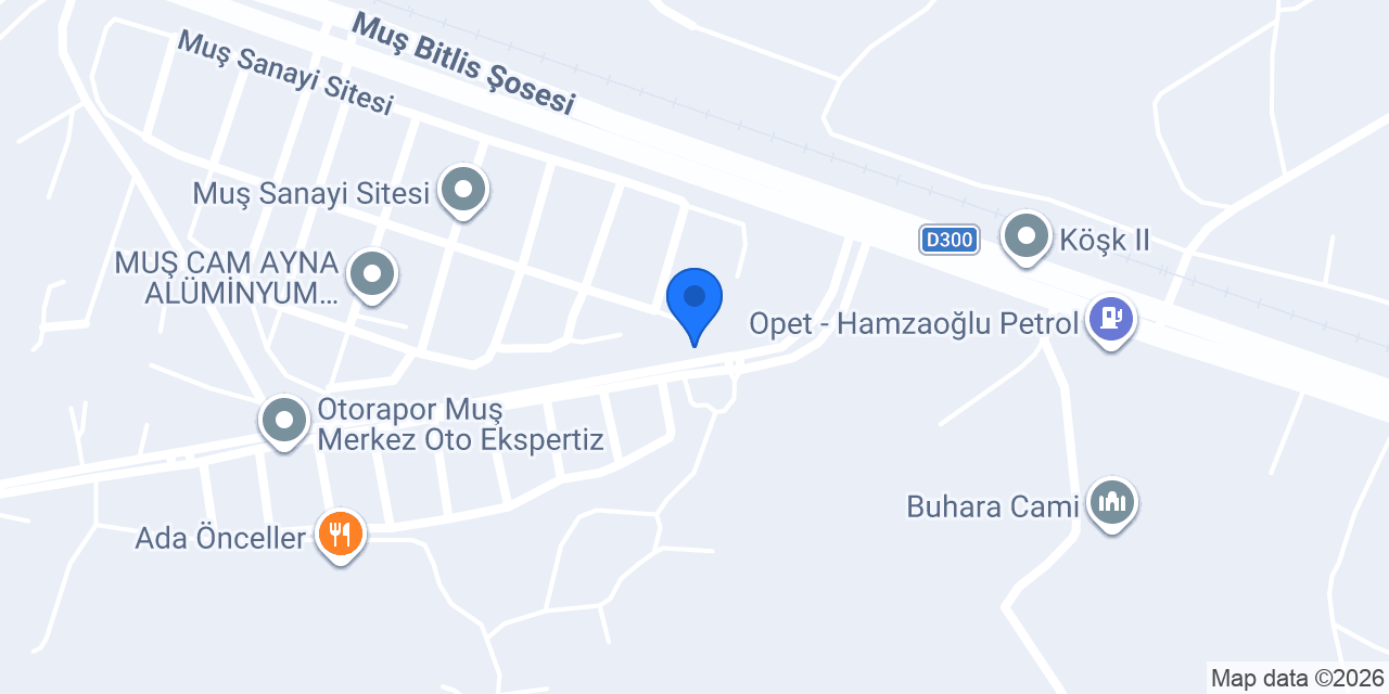 Muş lastik konumu