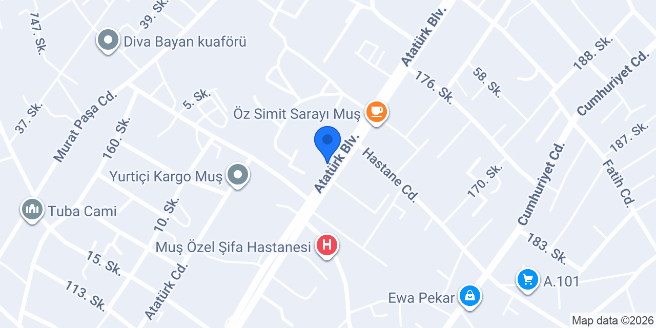 Muş Optik konumu