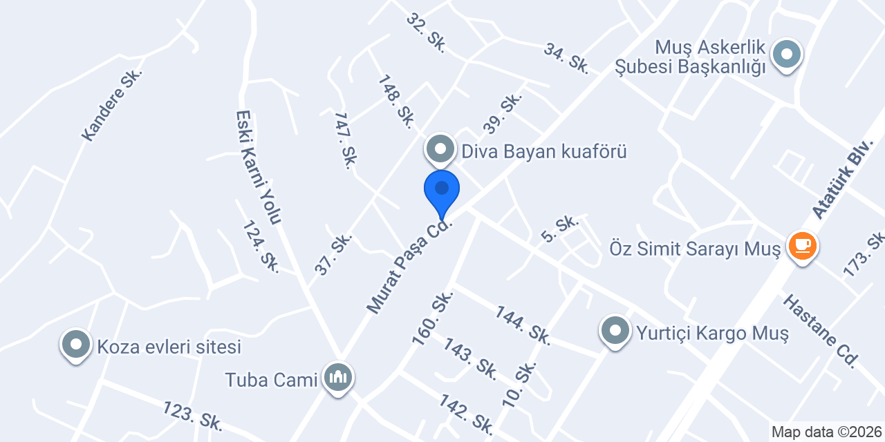 Muş Halı Yıkama konumu