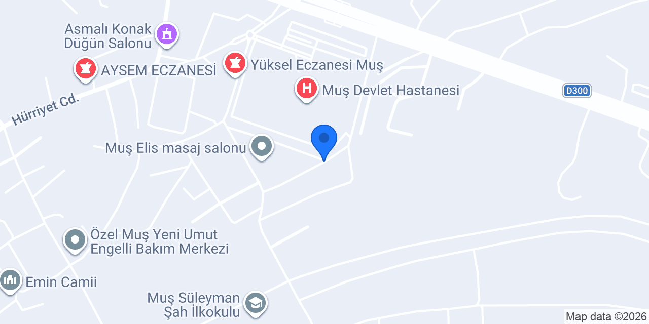 Bilen Auto konumu
