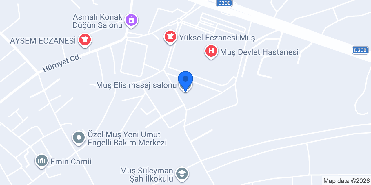 Muş Elis masaj salonu konumu