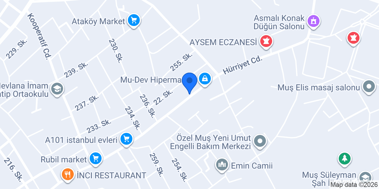 Nokta elektrik konumu