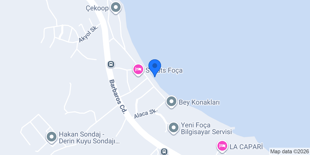CROCODİLE konumu