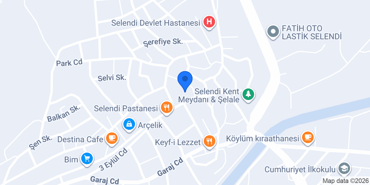 Selendi İmam Hatip Lisesi konumu