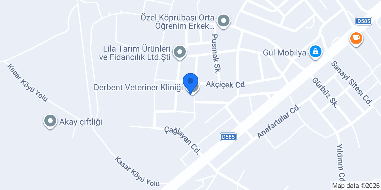 Derbent Veteriner Kliniği konumu