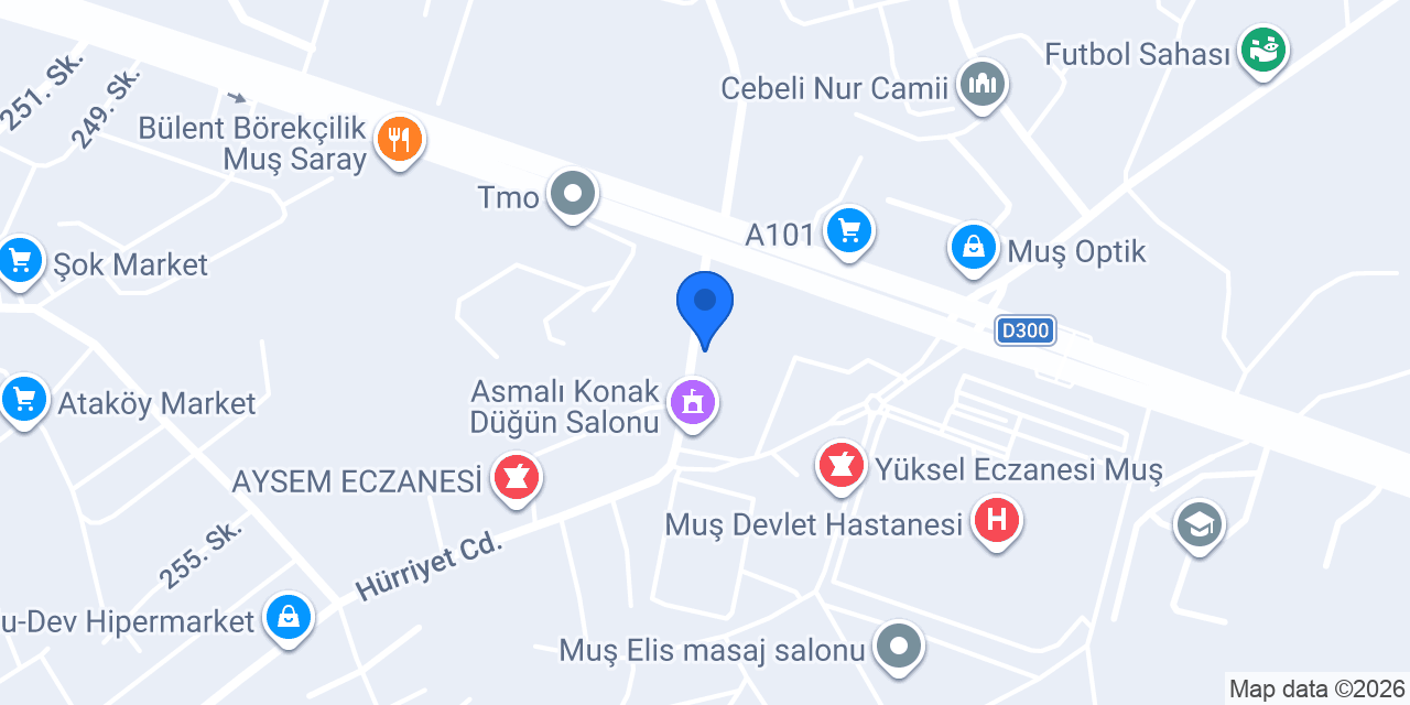 lavinya çiçekçilik konumu