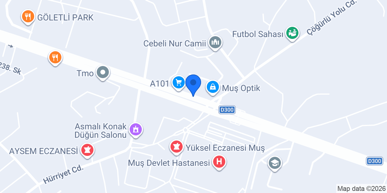 muş işitme cihazlari konumu