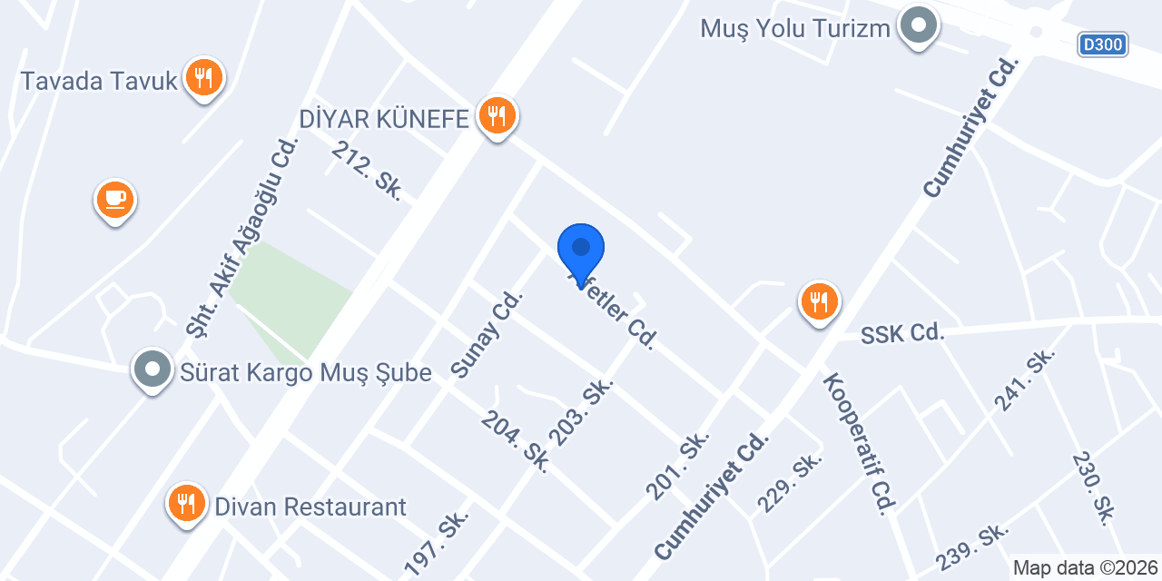 SAYE FOTOĞRAFÇILIK konumu
