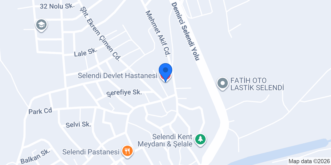 Selendi Devlet Hastanesi konumu