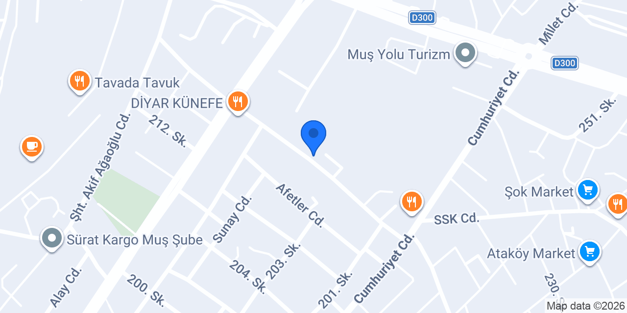 Budget Muş konumu