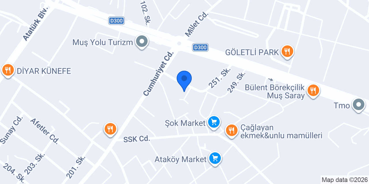 Auto tech servis konumu