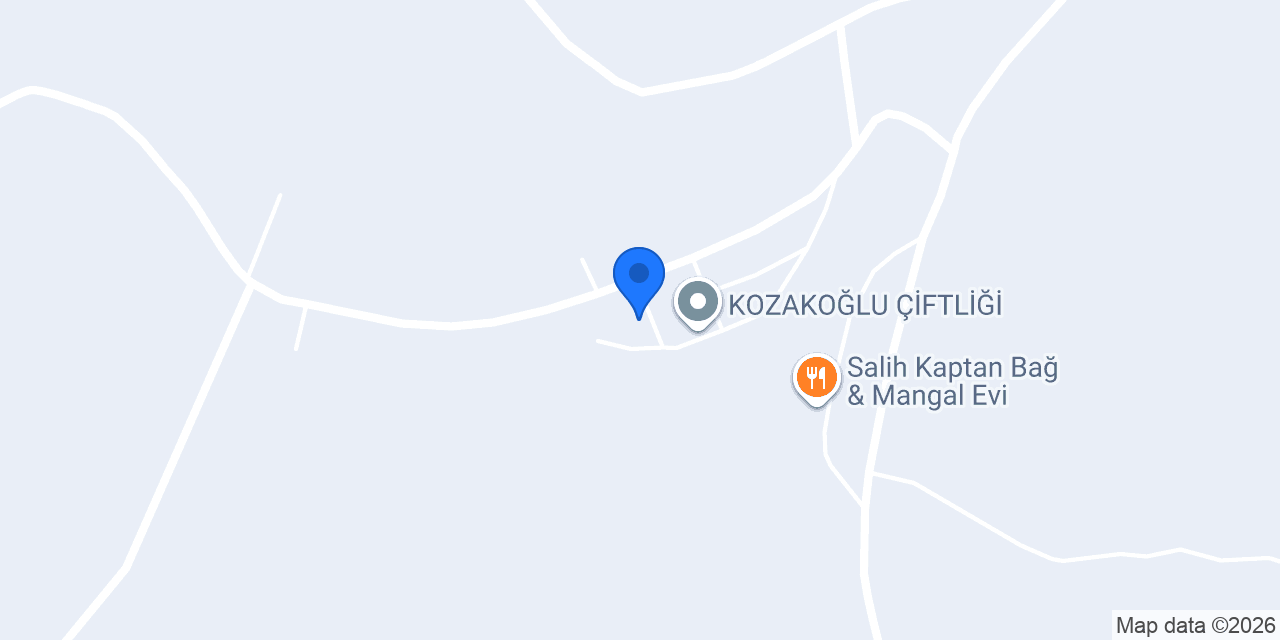 KURT BESİCİLİK konumu