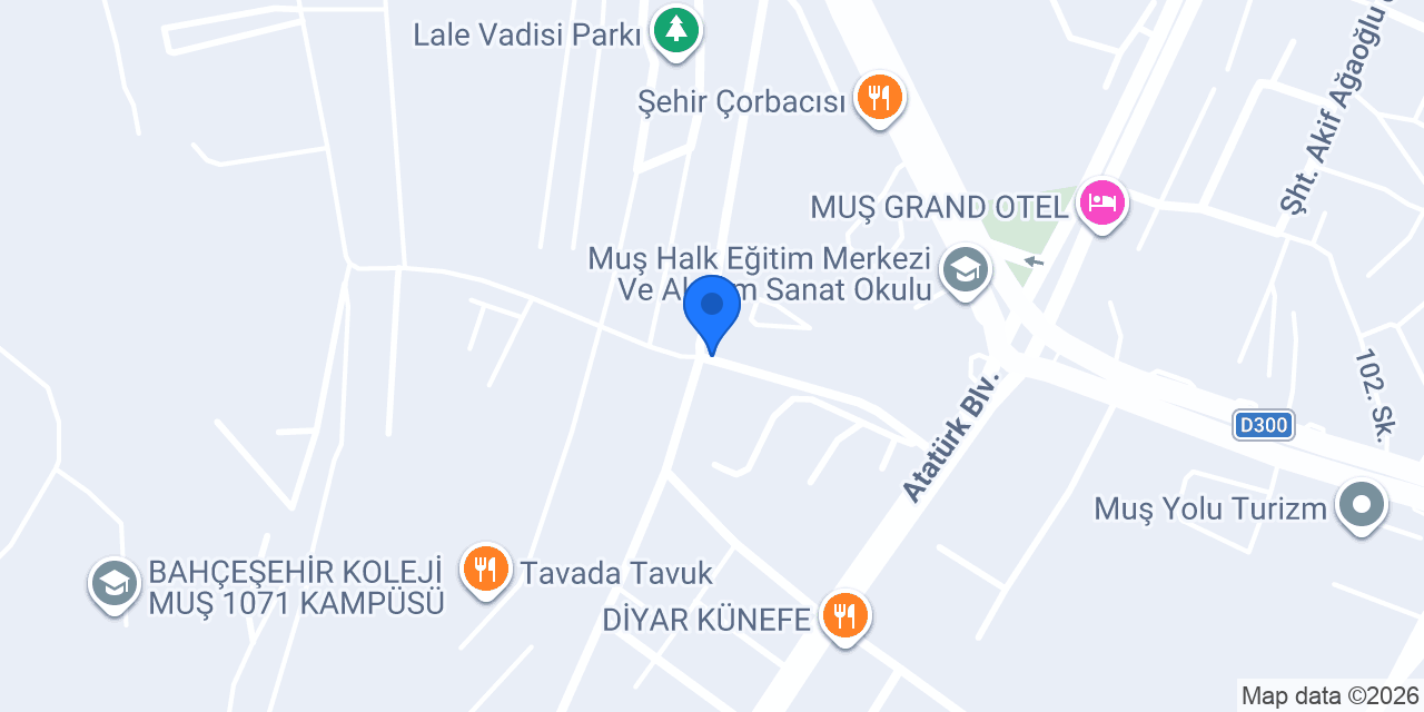 LALE TAKSİ konumu