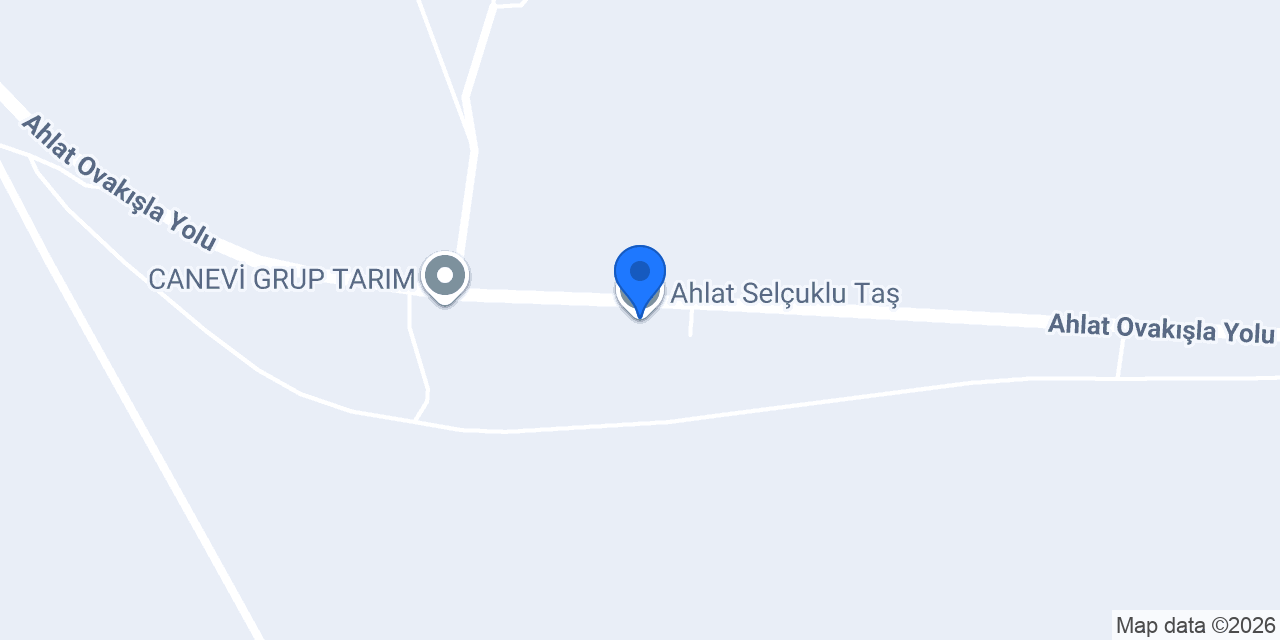 Ahlat Selçuklu Taş konumu