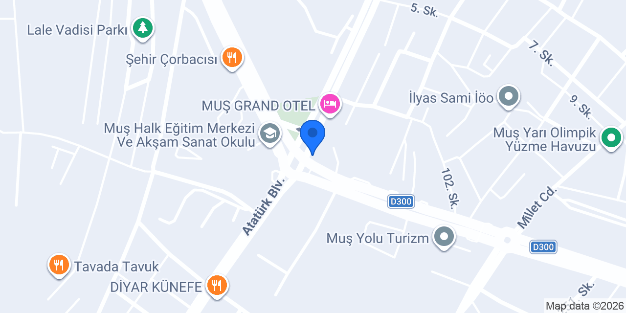 Pasaport Pizza Muş konumu