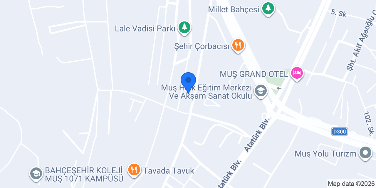 Grs Rent A Car Services Muş konumu