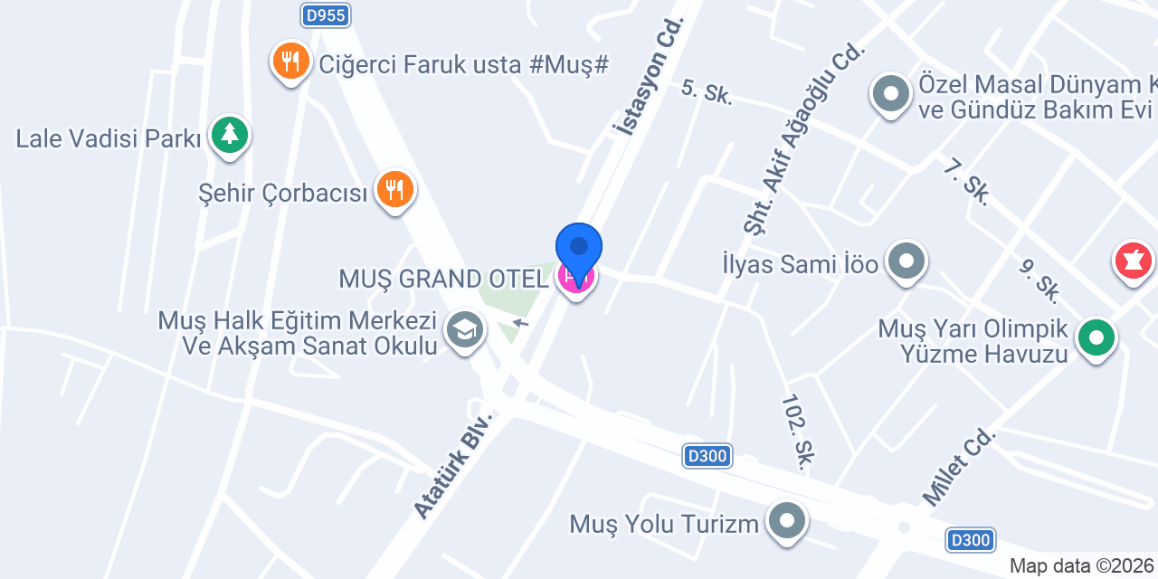 Domino's Pizza Muş konumu