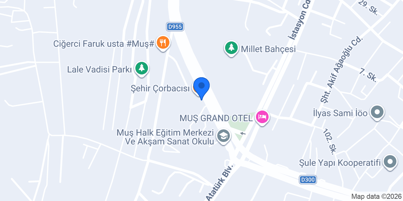 LastikPark - Mahmut Saygın konumu