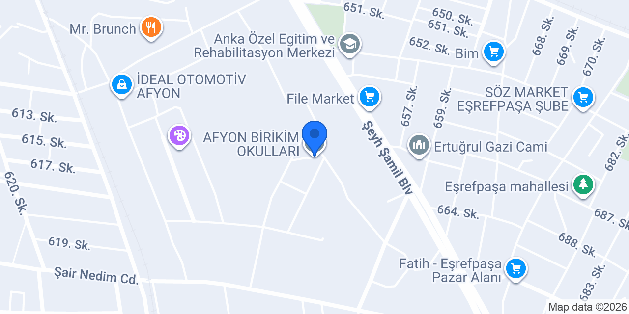 AFYON BİRİKİM OKULLARI konumu