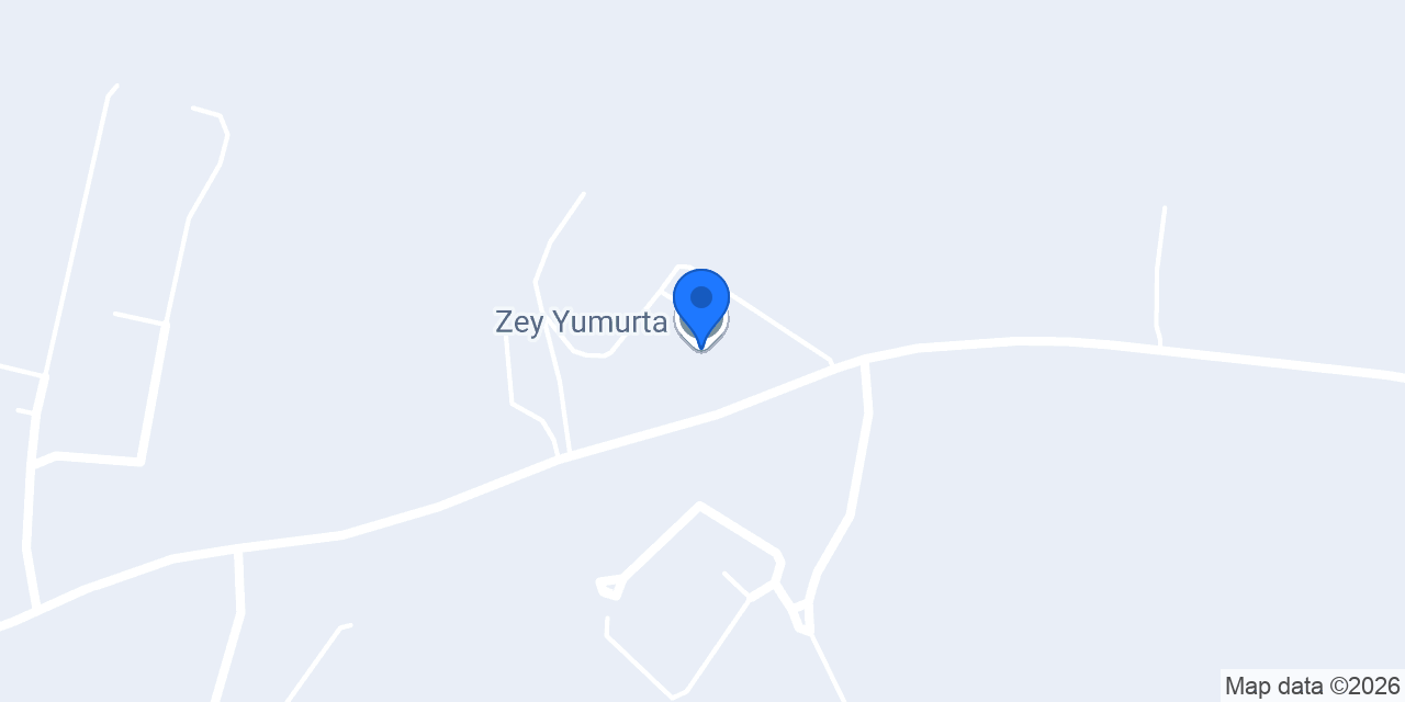 Zey Yumurta konumu