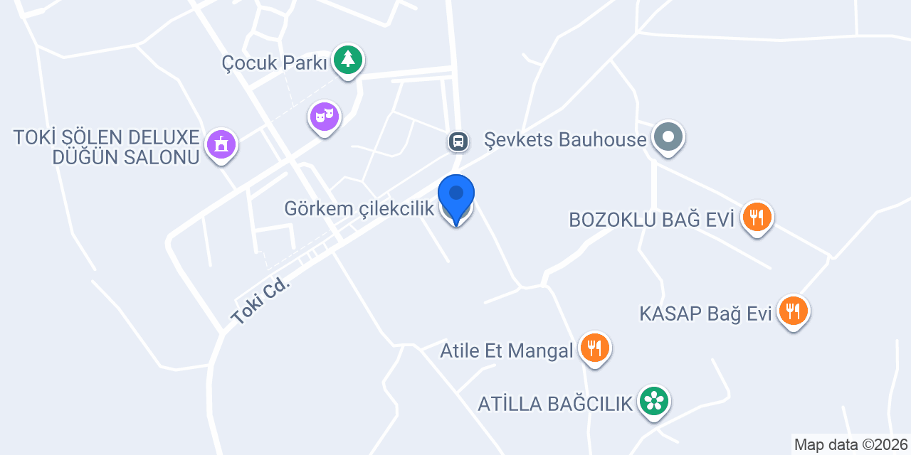 Görkem çilekcilik konumu