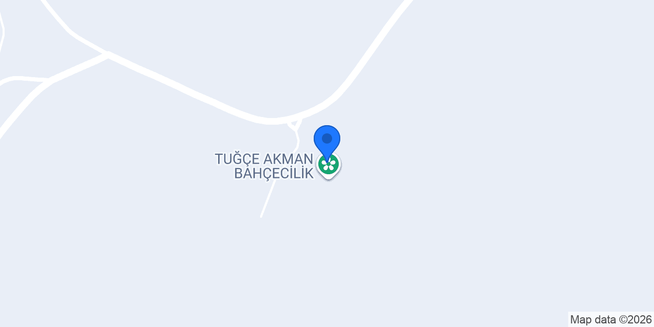 TABAŞ ZEYTIN BAHÇESİ konumu