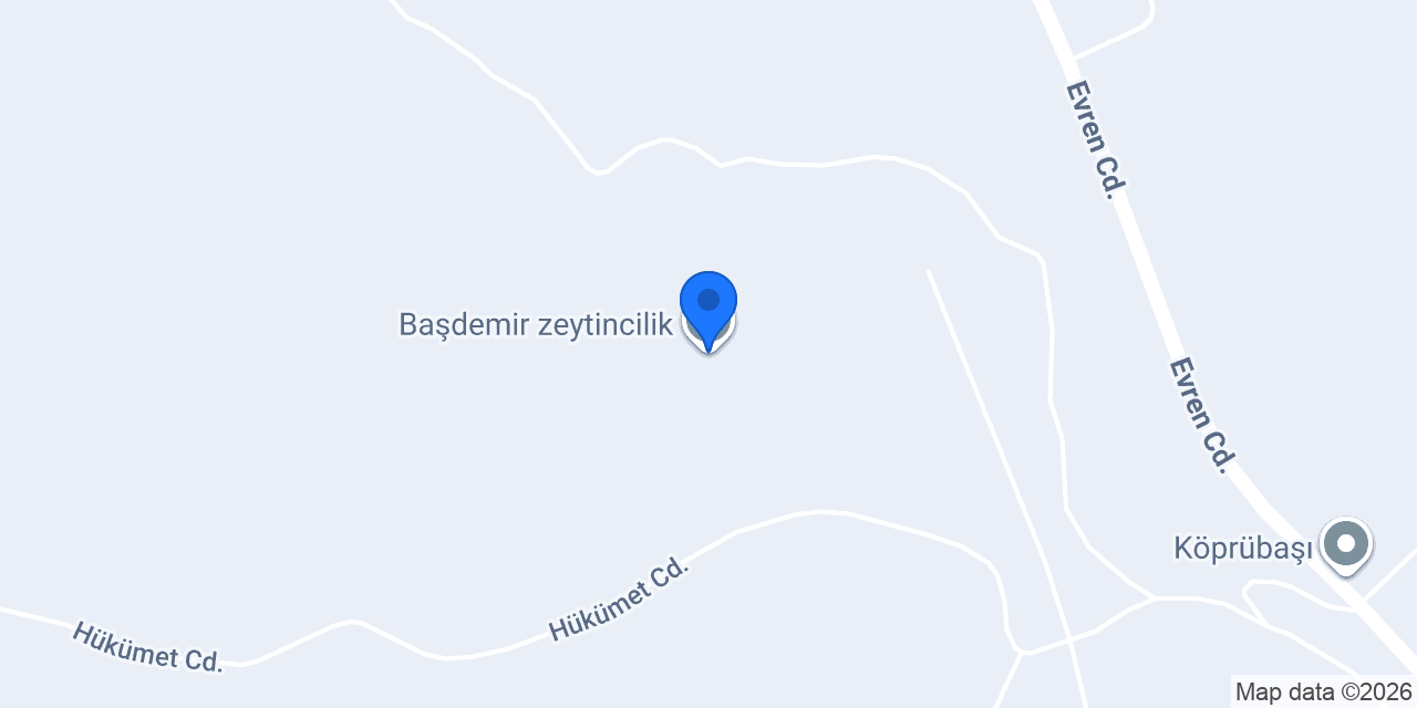 Başdemir zeytincilik konumu