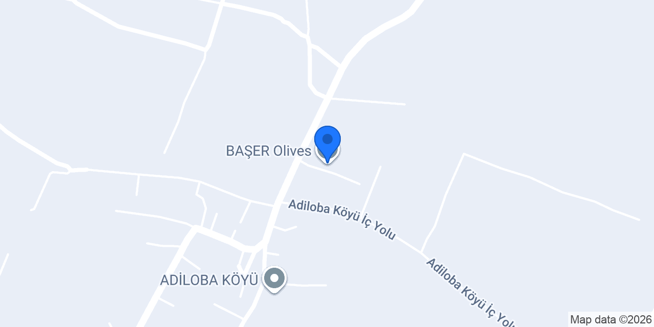 BAŞER Olives konumu