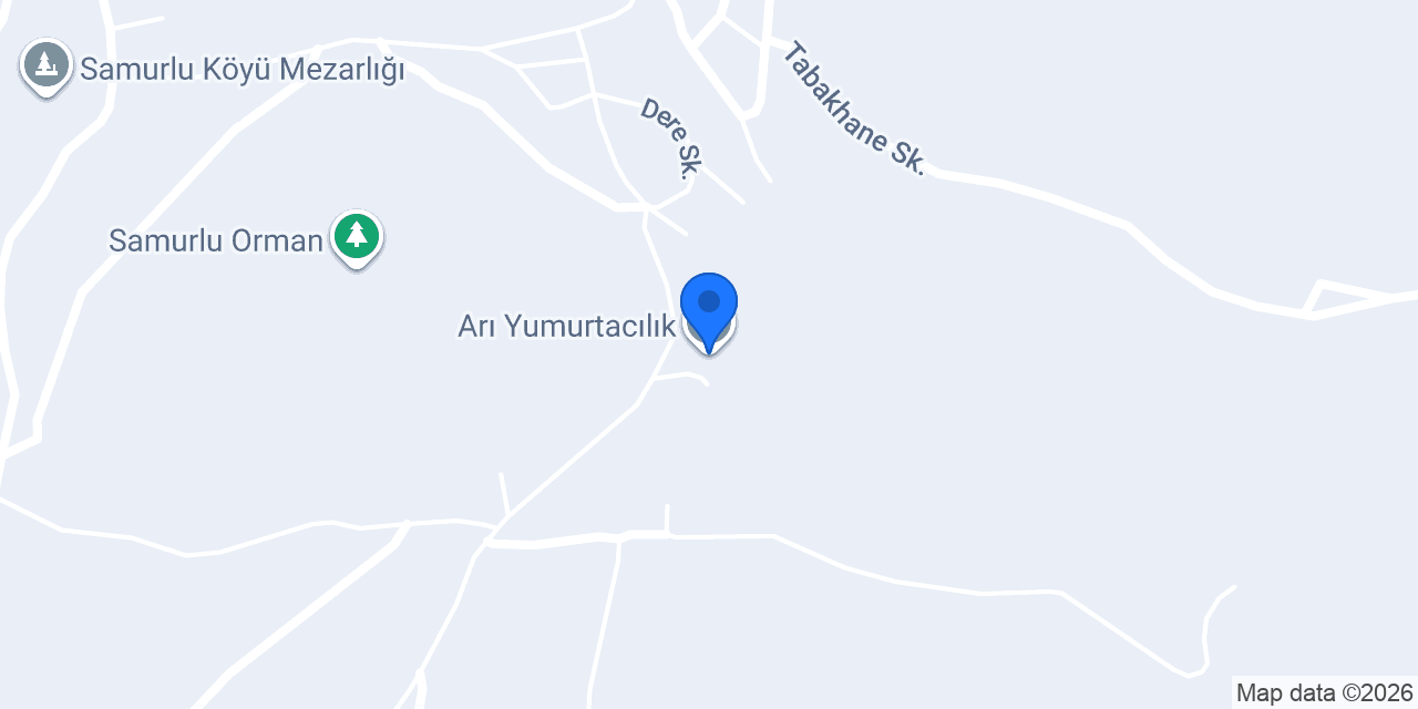 Arı Yumurtacılık konumu