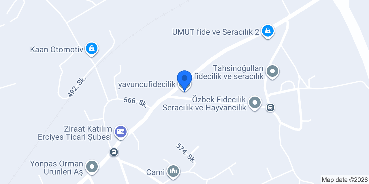 yavuncufidecilik konumu