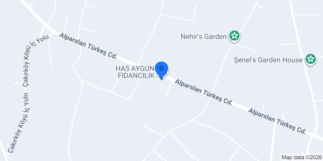 HAS AYGUN FIDANCILIK konumu