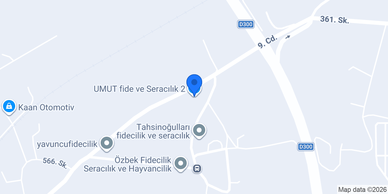 UMUT fide ve Seracılık 2 konumu