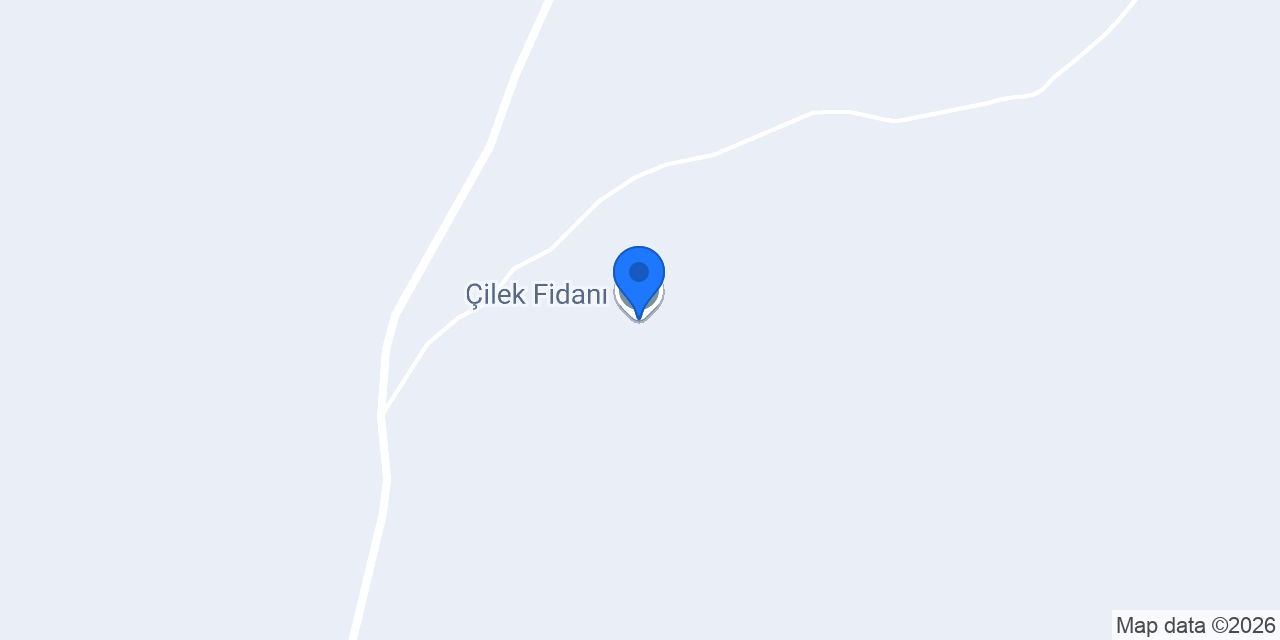 Çilek Fidanı konumu