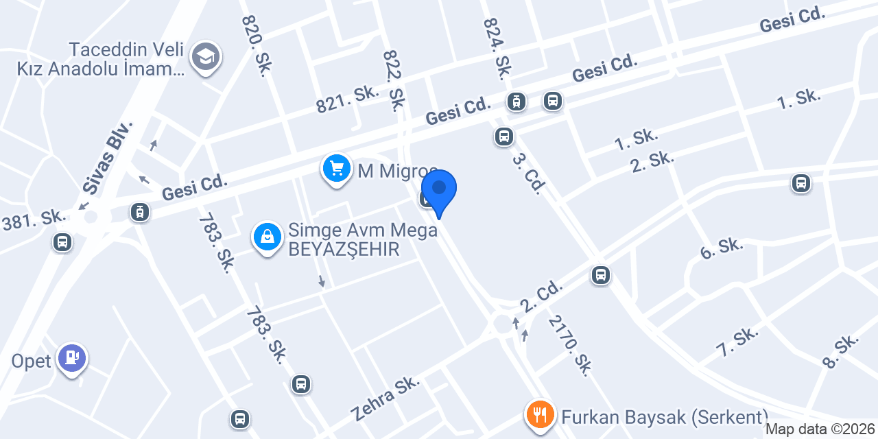 True Bağımsız Denetim konumu