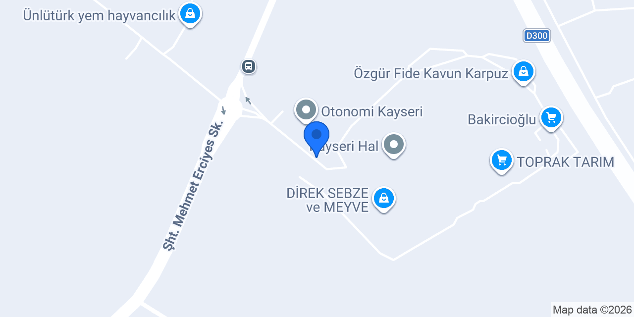 Meridyen Grup konumu