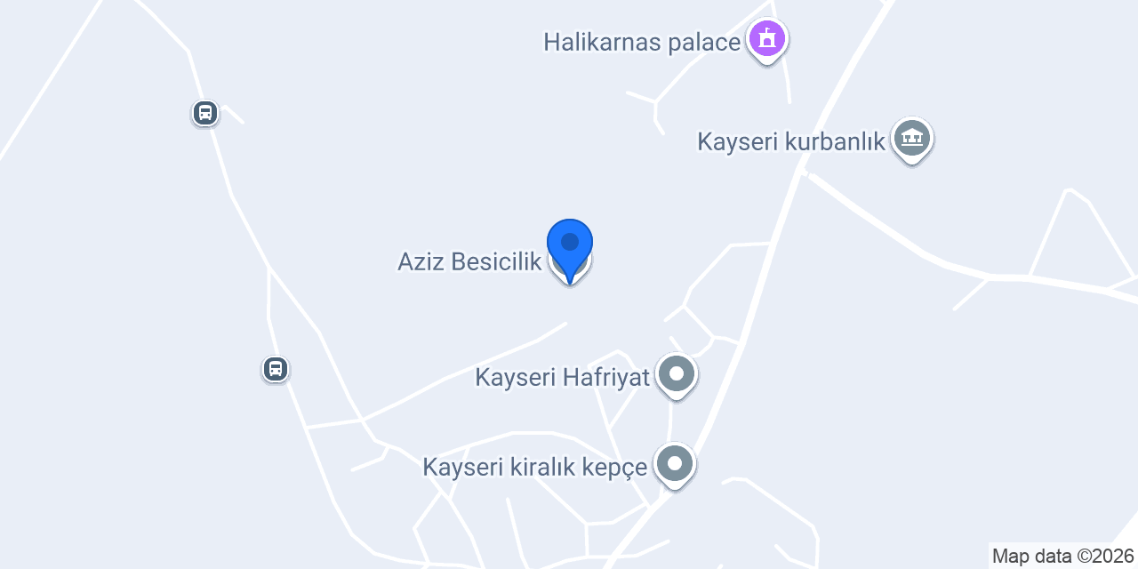 Aziz Besicilik konumu