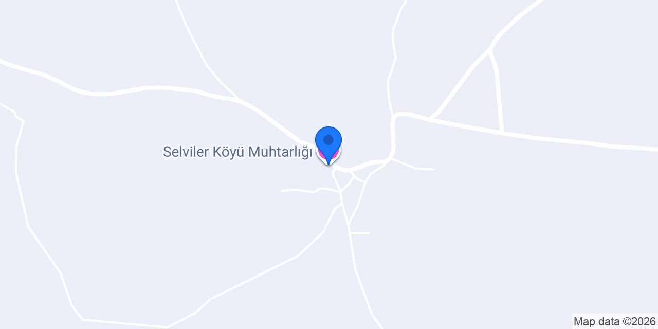 Selviler Köyü Muhtarlığı konumu