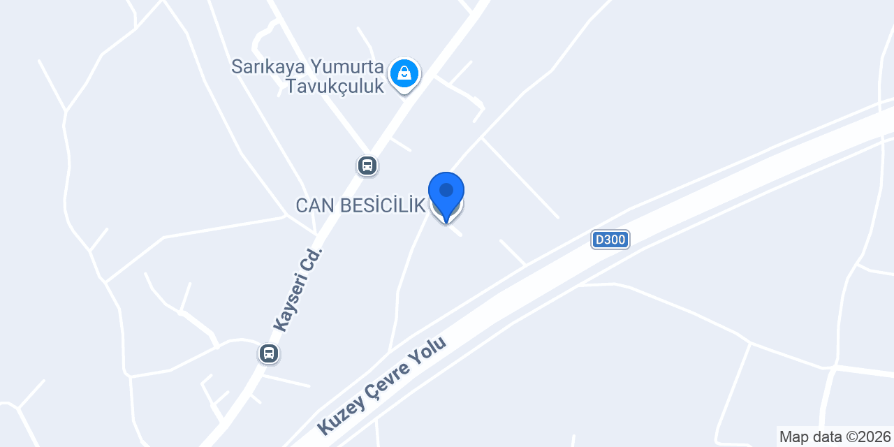 CAN BESİCİLİK konumu