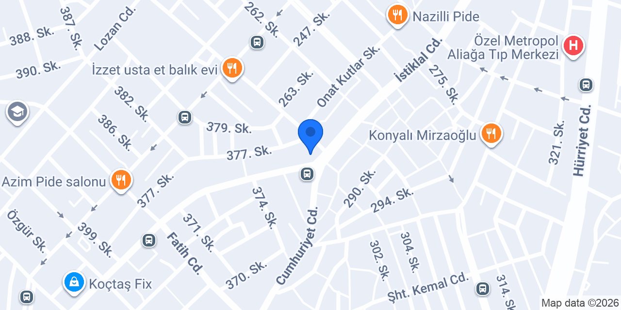 Anadolu Sigorta-ismet Özkan konumu