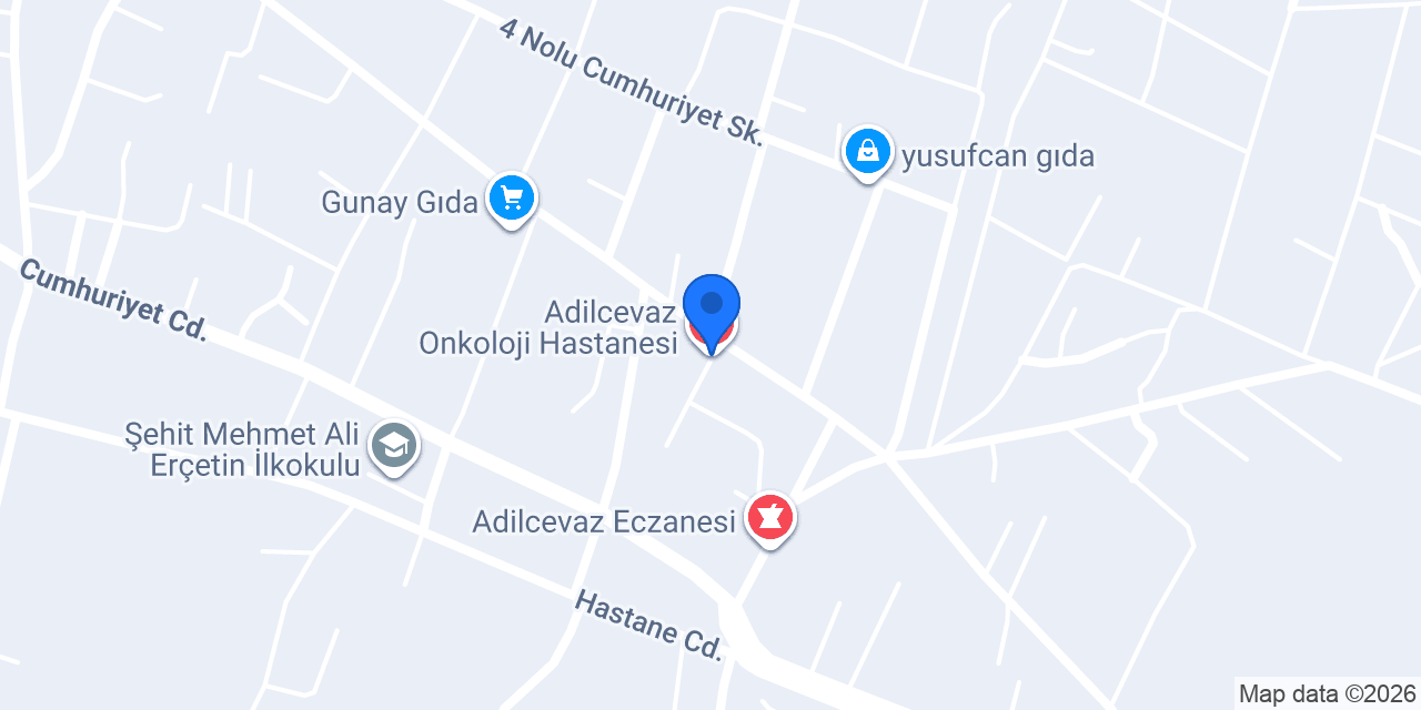 Adilcevaz Onkoloji Hastanesi konumu