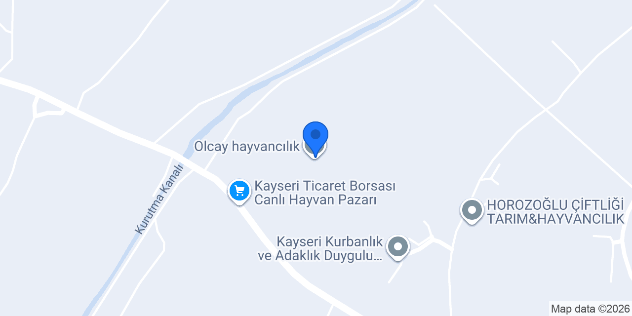Olcay hayvancılık konumu